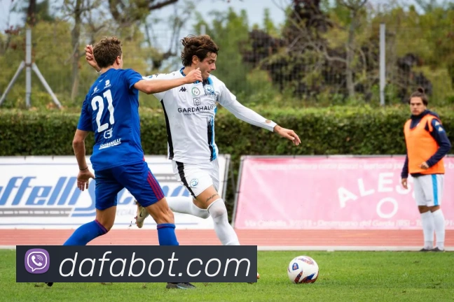 大发官网品牌故事